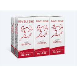 Leche entera briks de 200 ml