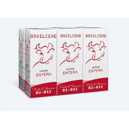 Leche entera briks de 200 ml